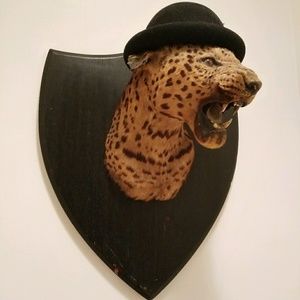 Meet your Posher, Andrew